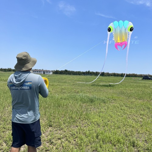New Arrival Soft Inflatable 16sqm Trilobite Kite 40d Ripstop Nylon For Adults High Quality Colorful Animal Show Kites